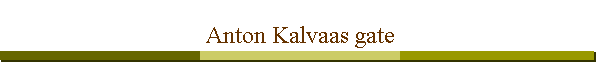 Anton Kalvaas gate